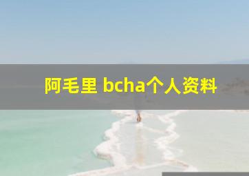 阿毛里 bcha个人资料